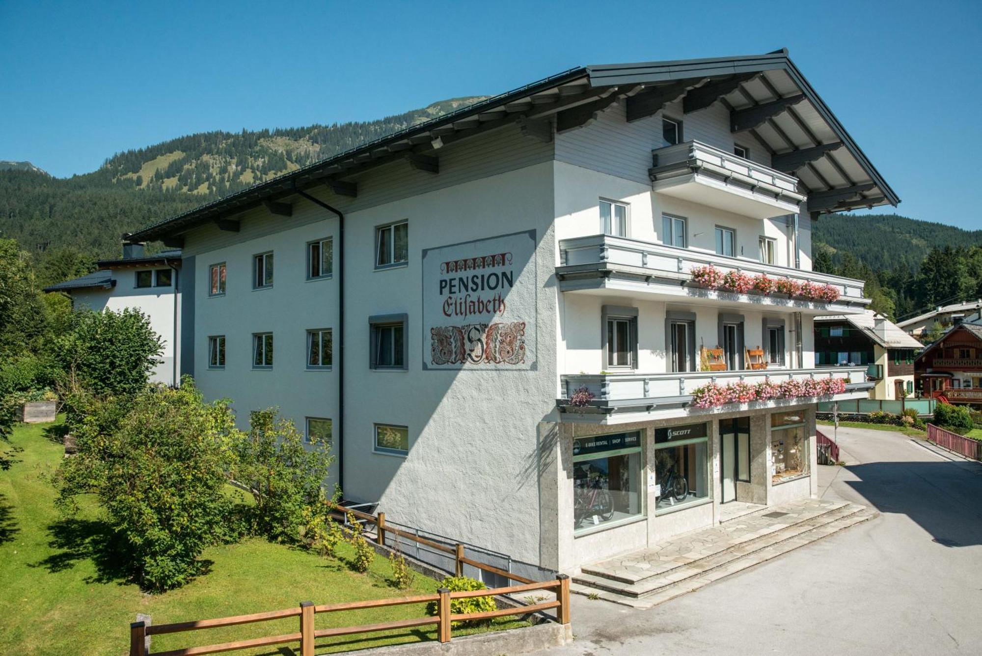 Pension Elisabeth Rußbach am Paß Gschütt Exteriör bild