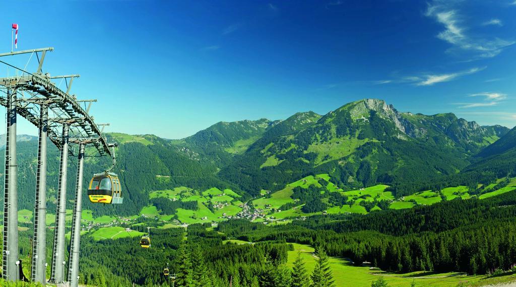 Pension Elisabeth Rußbach am Paß Gschütt Exteriör bild